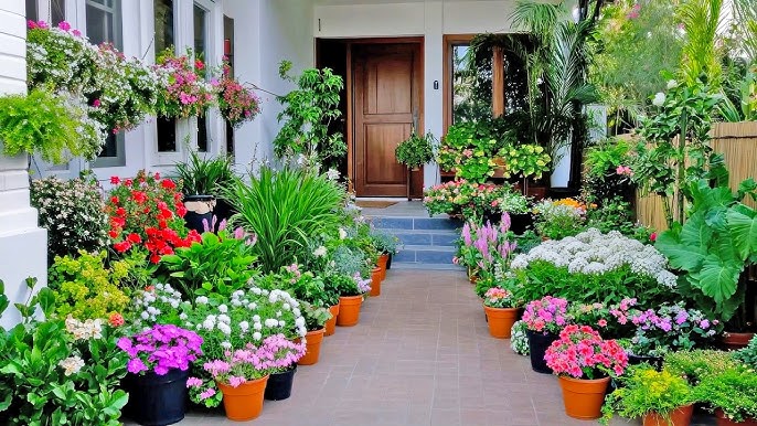 How to Keep Your Home Green and Beautiful