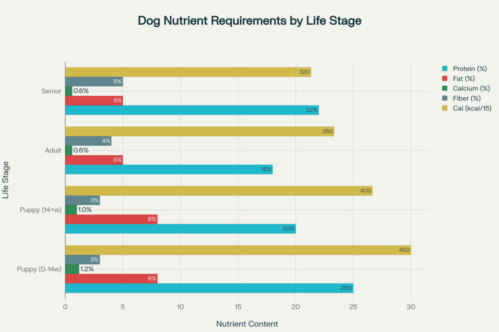 The Complete Guide to Best Food for Dogs
