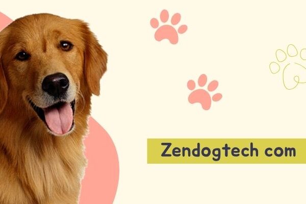 An Honest Review: Zendogtech.com