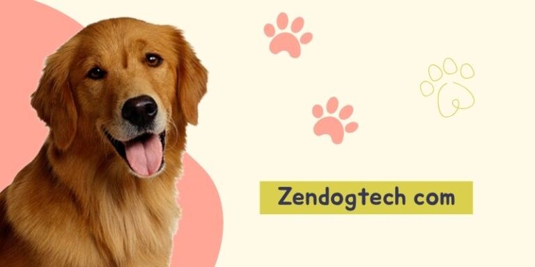 An Honest Review: Zendogtech.com