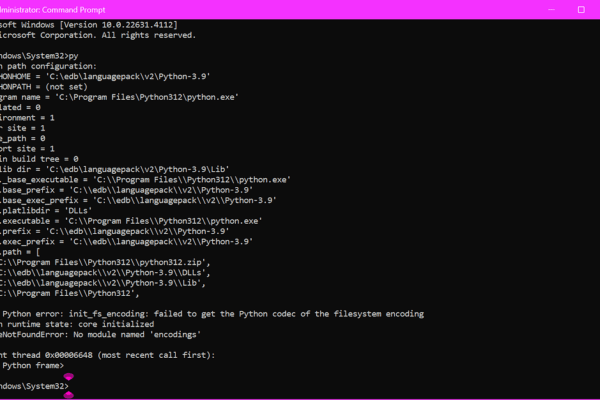 Python Error 543453s34f3dfd Software